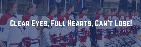 Anoka/SLP Girls Hockey Profile Banner
