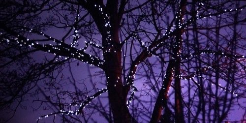 moonskychild's profile banner image