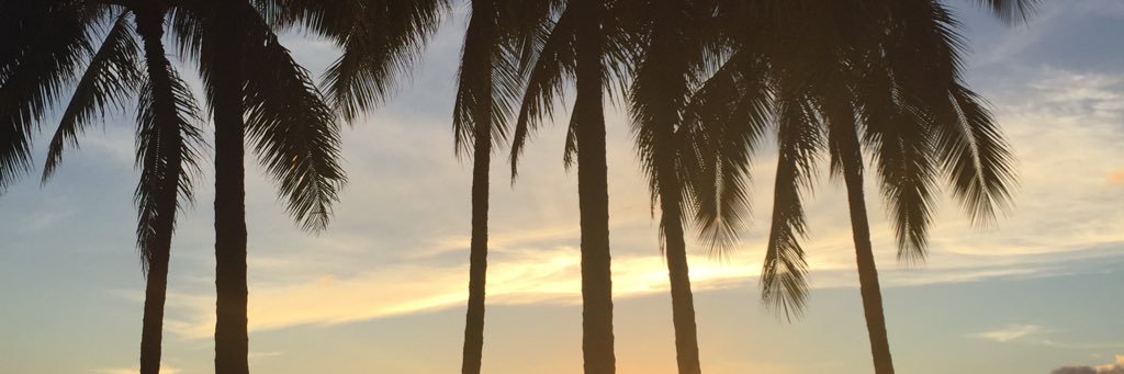 zer0a11's profile banner image