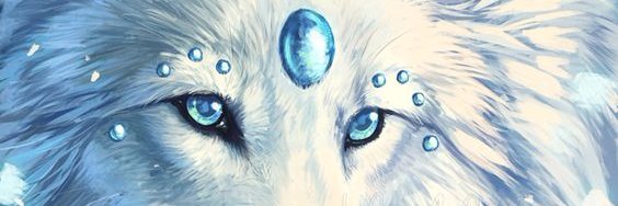 Amanda1DS2's profile banner image