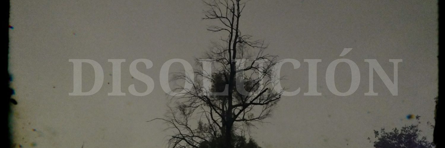 MRabismo's profile banner image