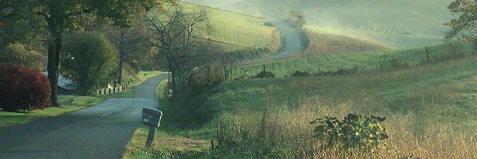 mrsannahaney's profile banner image