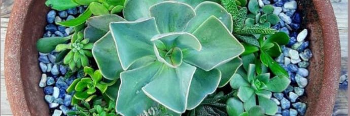 GartenSpot's profile banner image
