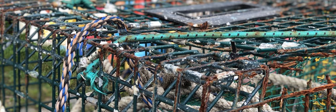 Neill Frazier banner