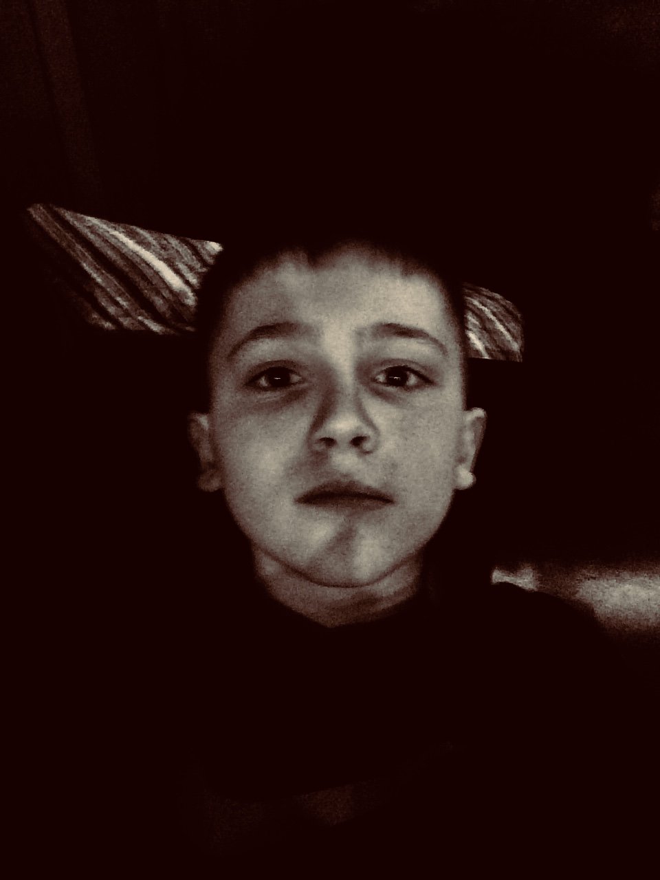 pjzombies8YT's profile banner image