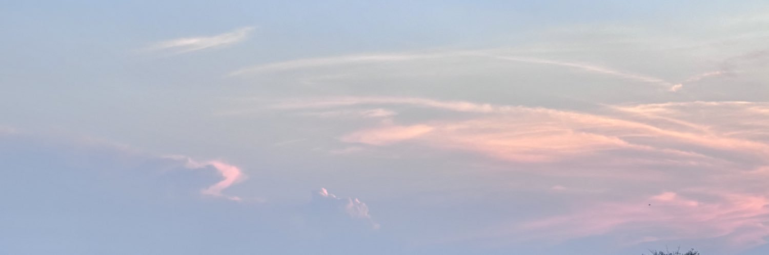 Broccolilll's profile banner image