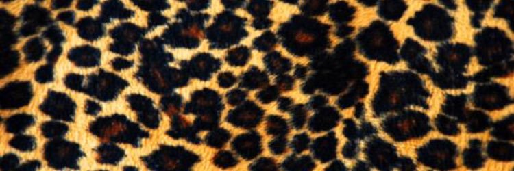 x_deneen's profile banner image