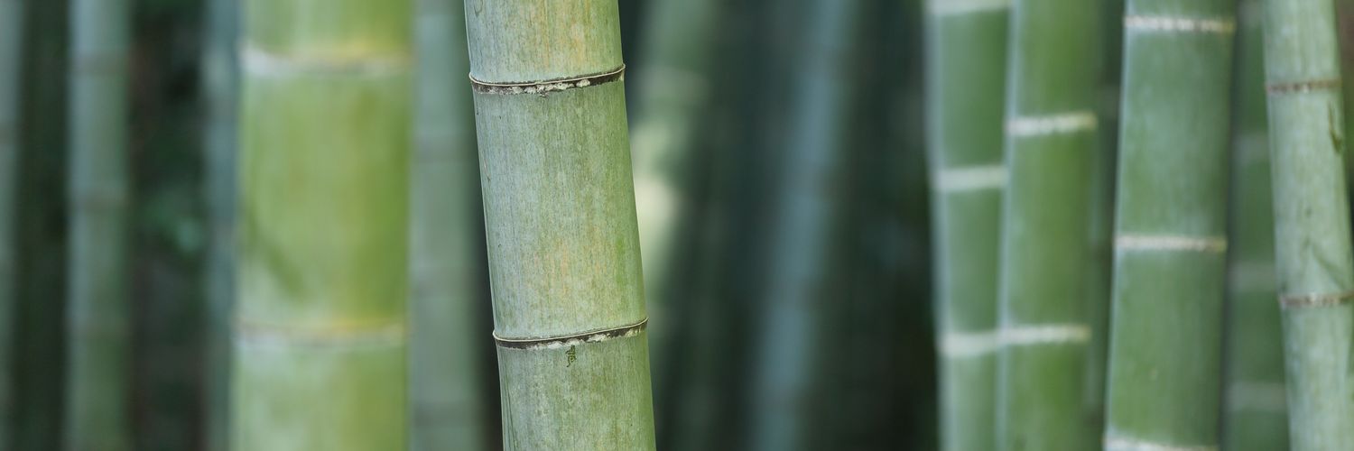 LULUBISCOS's profile banner image