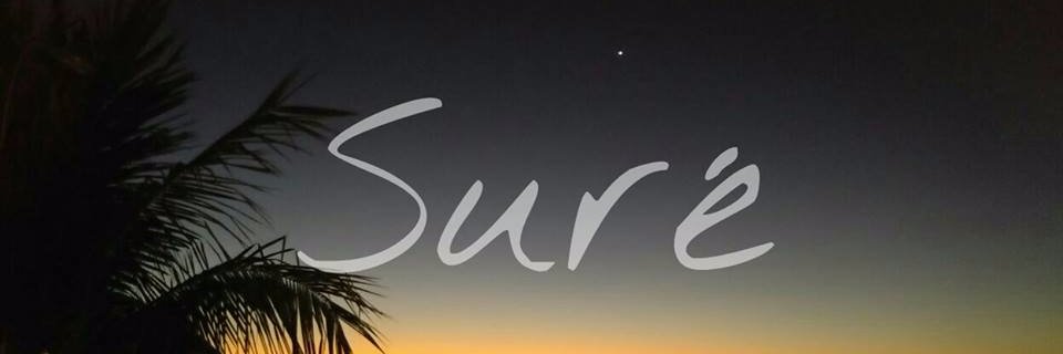 SURE banner