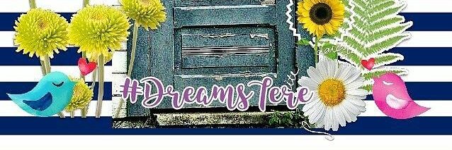 DreamsTere's profile banner image