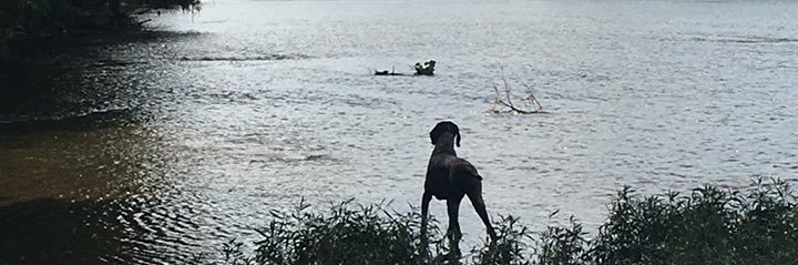 mlfetterolf's profile banner image