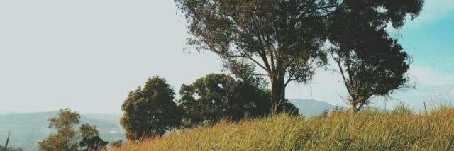 kulensss's profile banner image