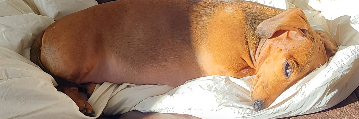 TheKarpizzle's profile banner image