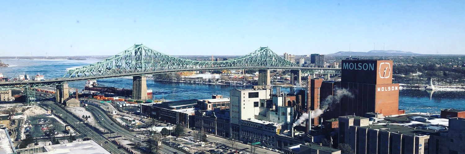 Claudia Timmons banner