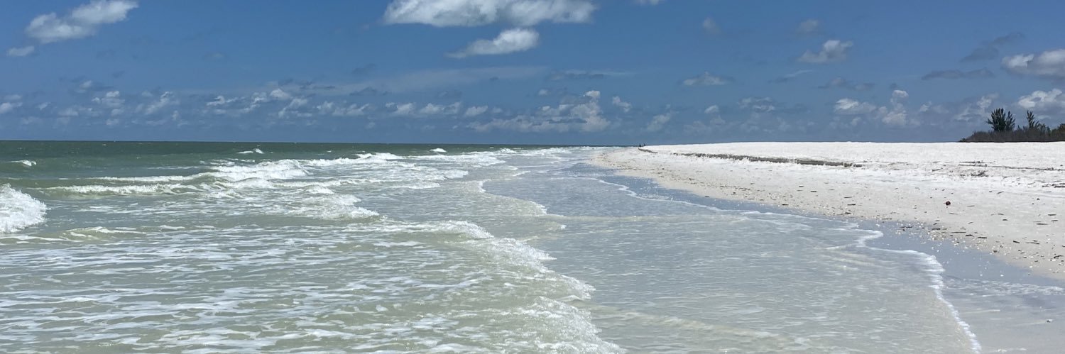 RealtorSusanNJ's profile banner image