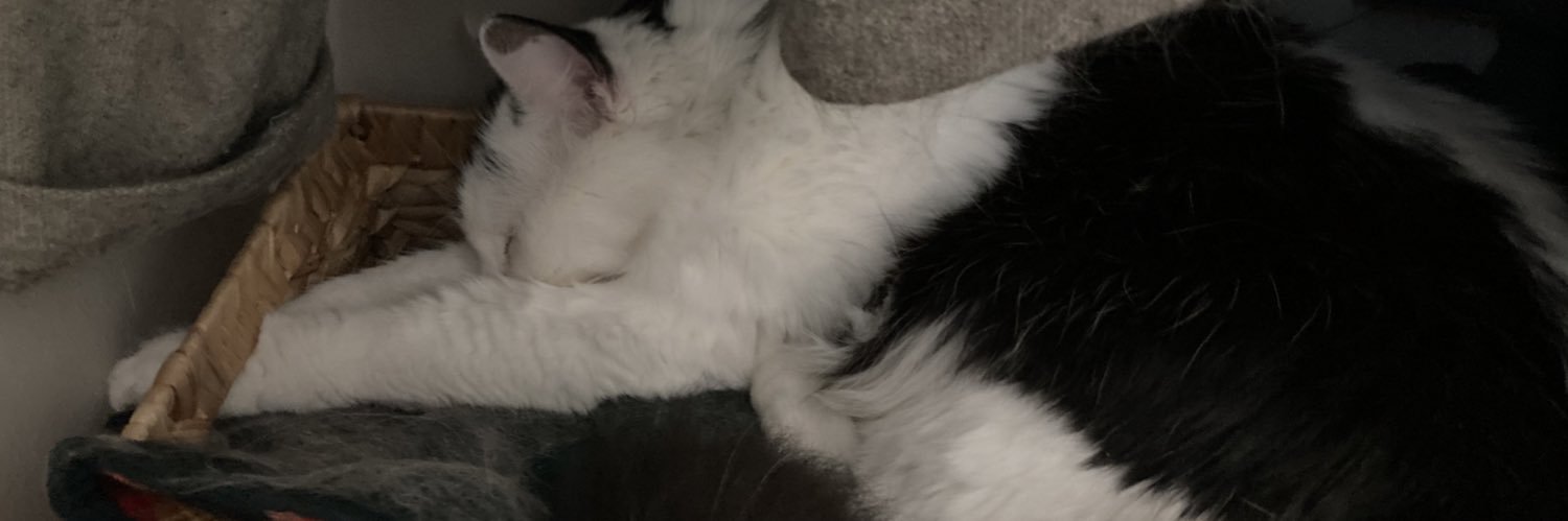 Abbythich's profile banner image