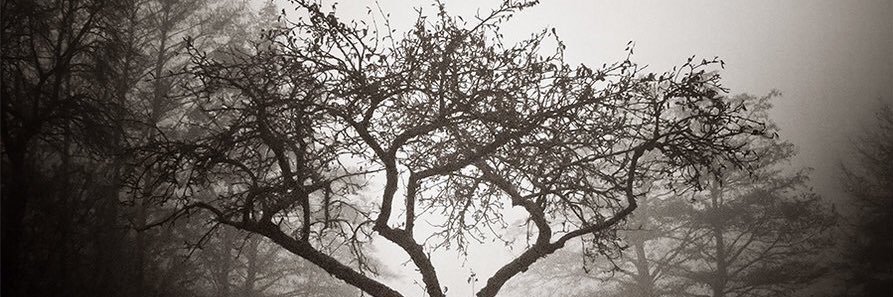 M.H. banner