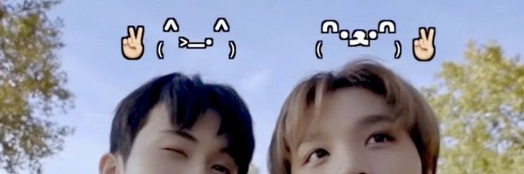 vic 🌥 banner