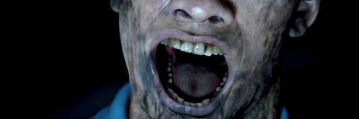 Bird app user  banner