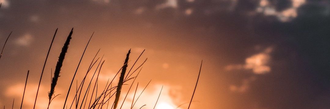 chan_sinha's profile banner image