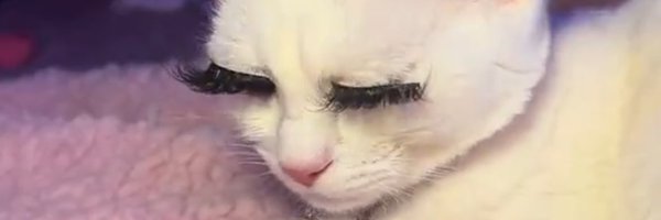 PinkSpiceXO Profile Banner