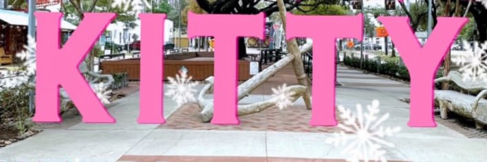 🧚🏾Sailor Spice✨ banner