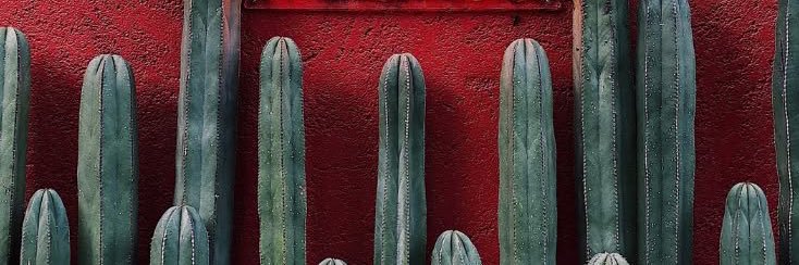 aldo_oscaar's profile banner image