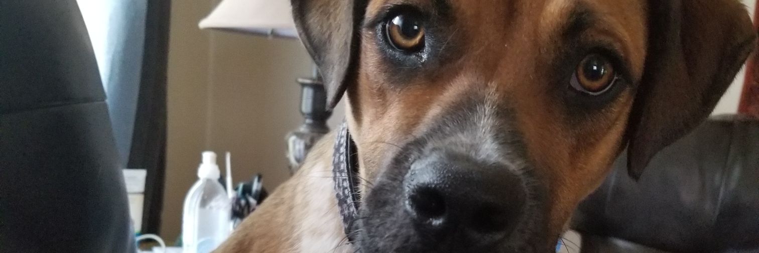 JacobAton's profile banner image