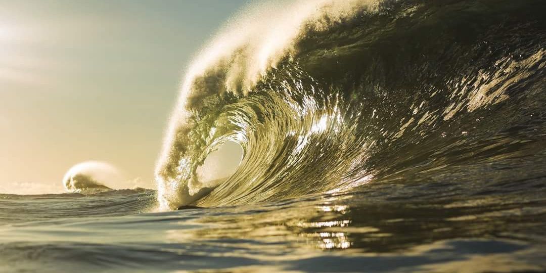 Michael Turner (@Michael51512) / Posts / X