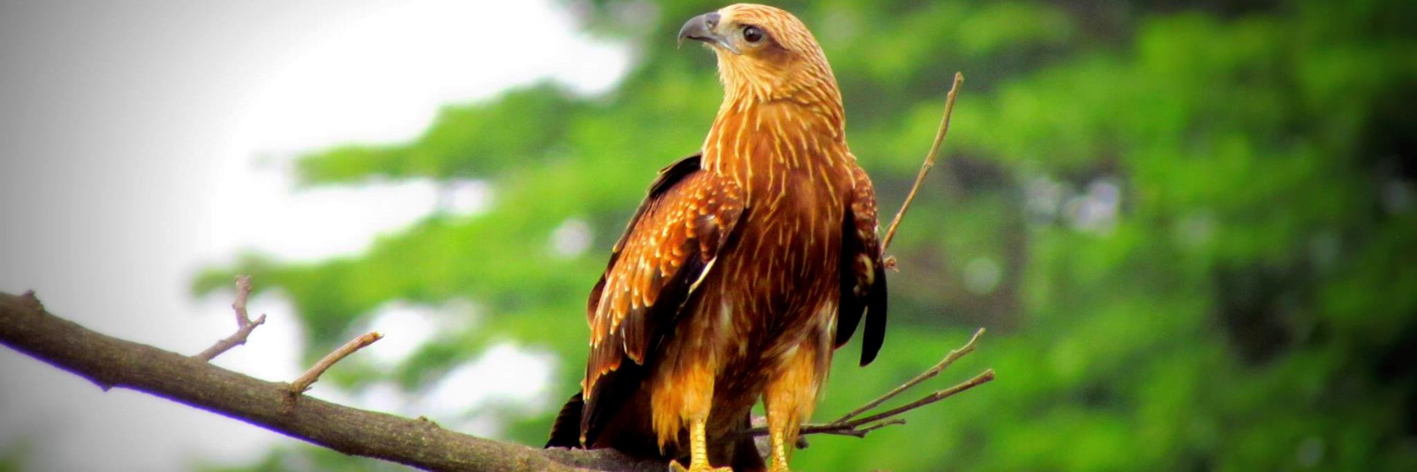 sandip1885's profile banner image