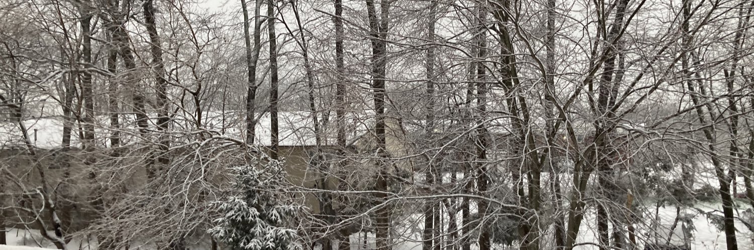 bornbx61's profile banner image