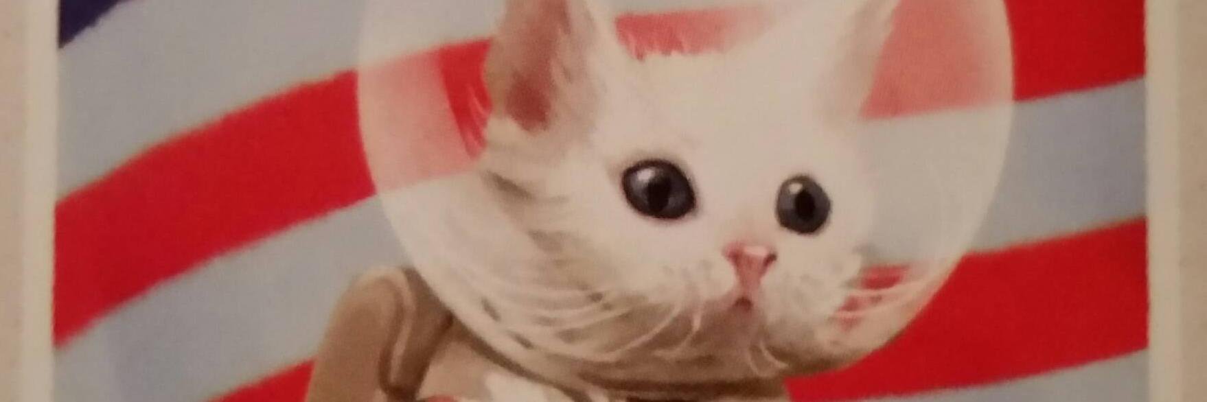 N3K0K1D's profile banner image