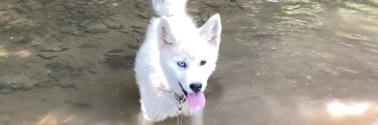 dogantpkr's profile banner image