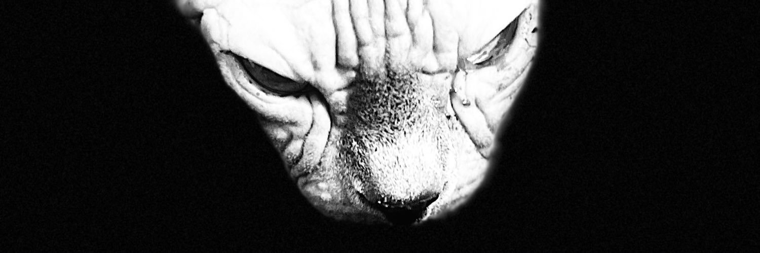 tinajkl's profile banner image