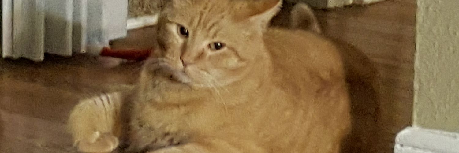 Zaxby banner