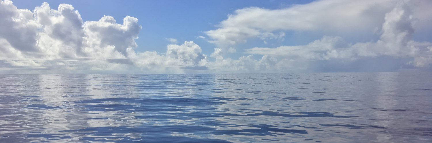 cogacoga's profile banner image