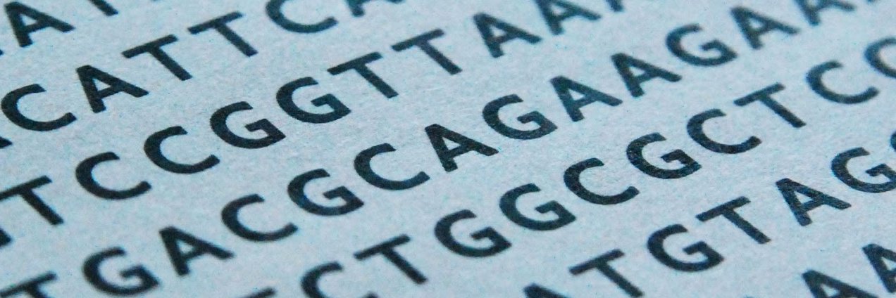 Spindle Biotech Inc. banner