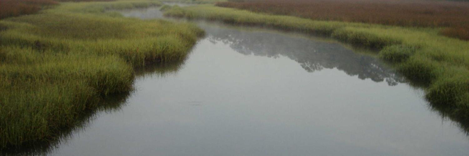 bjscreek's profile banner image