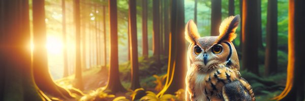 SalesAnalyticsJ Profile Banner