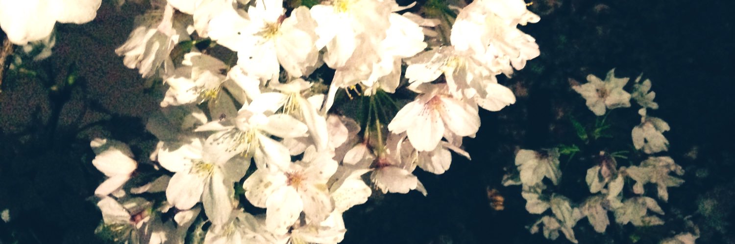 α banner