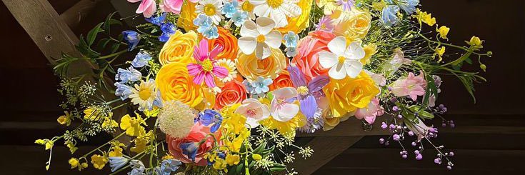 ทรายเองงงง☀️🐶🐈‍⬛🎲 banner