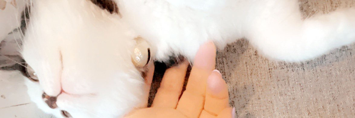 Yolandzi's profile banner image