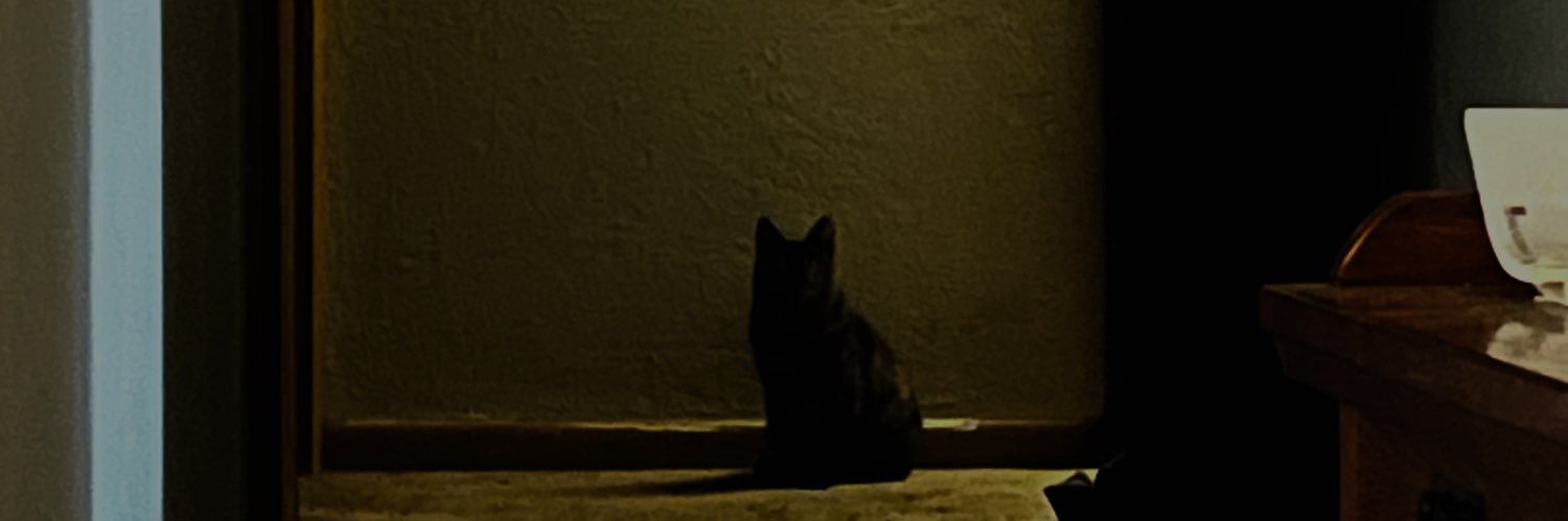 GeeseGoose_10's profile banner image