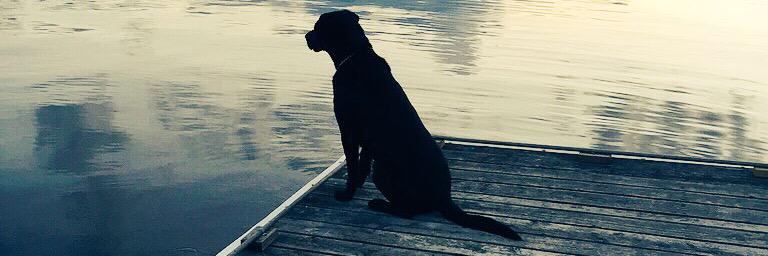 MitchJaws16's profile banner image