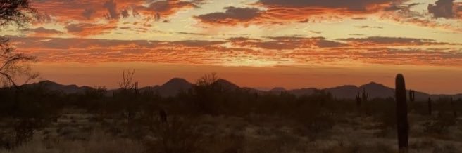 tessaski73's profile banner image