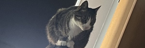 MalineCS_ Profile Banner