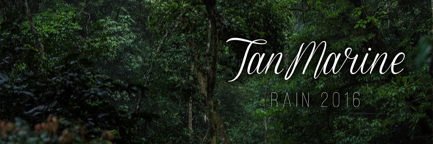 TanmarineSwim's profile banner image