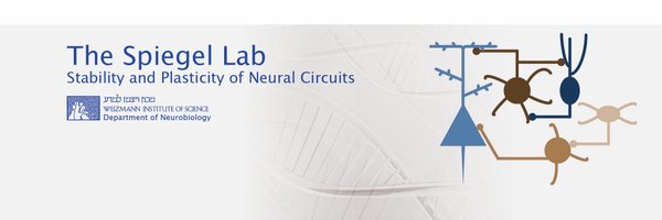 Spiegel_Lab Profile Banner