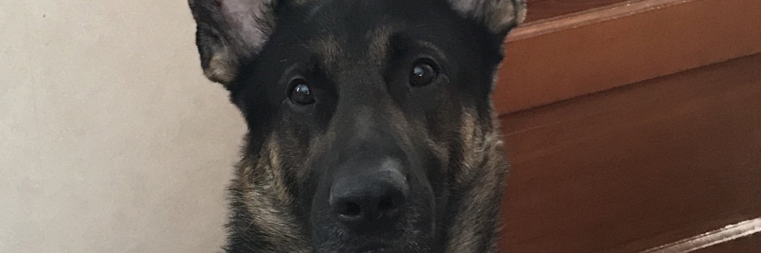AlexLink25's profile banner image