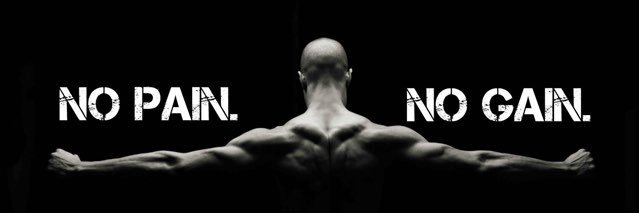 Z4RKED's profile banner image